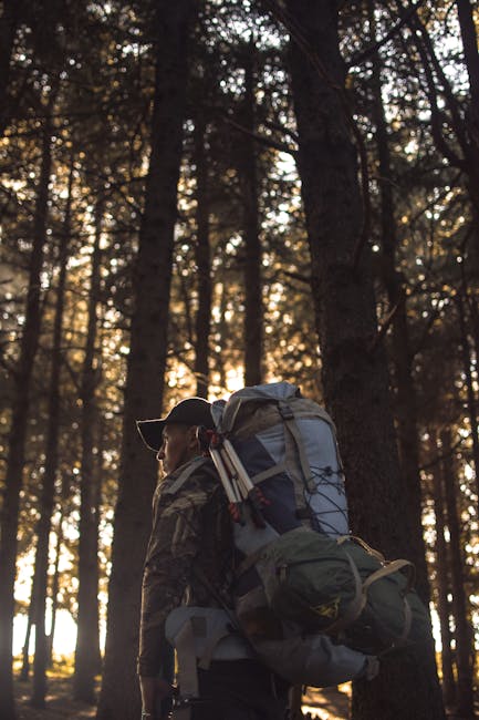 Hiker in forest sunset